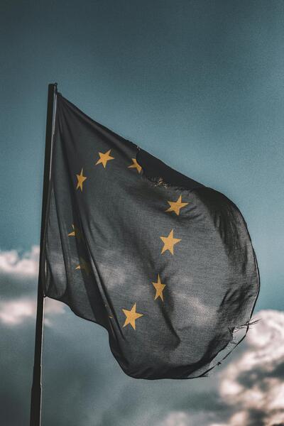 pexels-eberhardgross-1743364